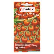 Pomidor karłowy Maskotka 0,5g PlantiCo