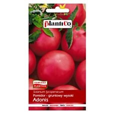 Pomidor malinowy ADONIS 0,5g PlantiCo