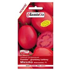 Pomidor Mieszko F1 0,5g PlantiCo