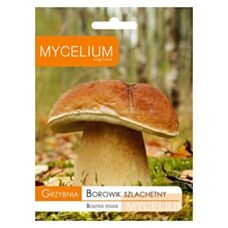 Grzybnia Borowik szlachetny 10g Mycelium