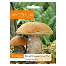 Grzybnia Koźlarza pomarańczowożółtego 10g Mycelium 