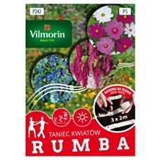 Taniec kwiatów Rumba taśma 2x3m Vilmorin