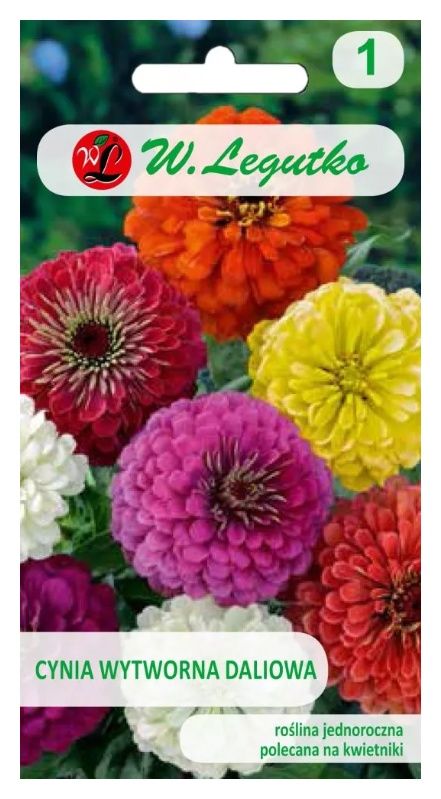 Cynia wytworna daliowa mix 1,5g Legutko