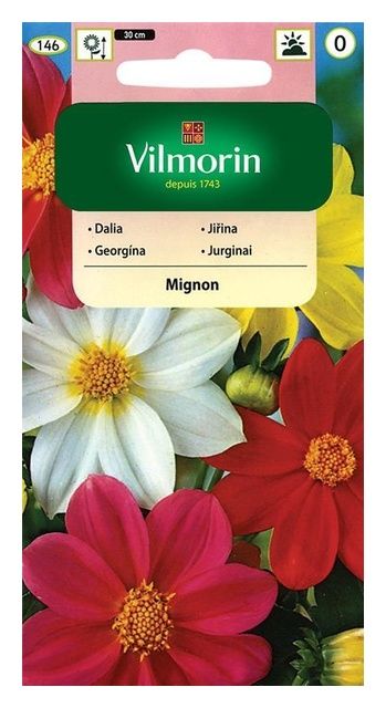 Dalia zmienna Mignon Mix 1g Vilmorin