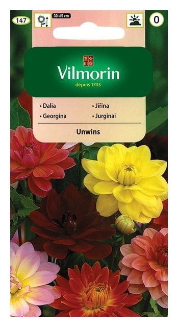 Dalia zmienna Unwis mix 1g Vilmorin