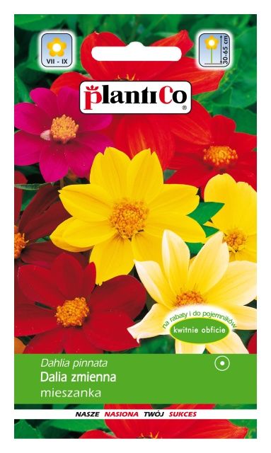 Dalia zmienna MIX 1g PlantiCo