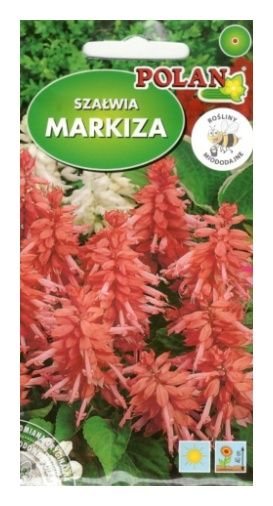 Szałwia Markiza 0,5g Polan