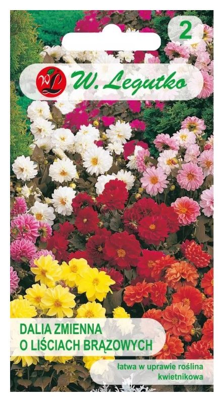 Dalia zmienna karłowa Diablo mix 1g Legutko