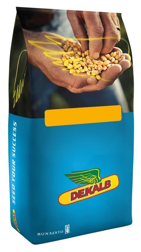 Kukurydza DKC 3204 F1 50tys C1 Bayer