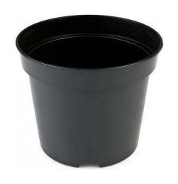 Doniczka produkcyjna PBN czarna 100 sztuk Interplast