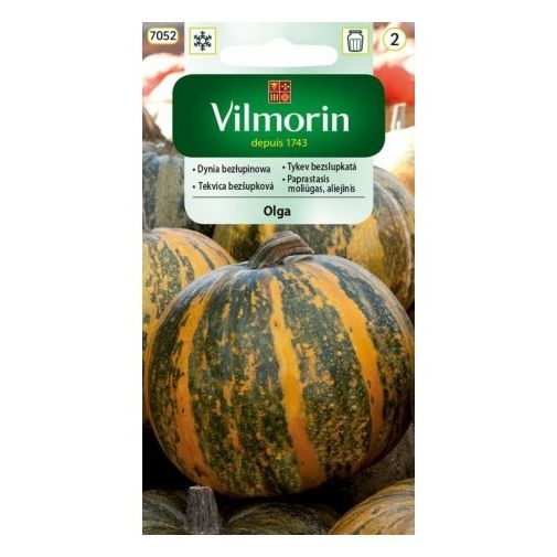 Dynia bezłupinowa Olga 2g Vilmorin