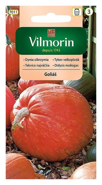 Dynia Golias 3g Vilmorin