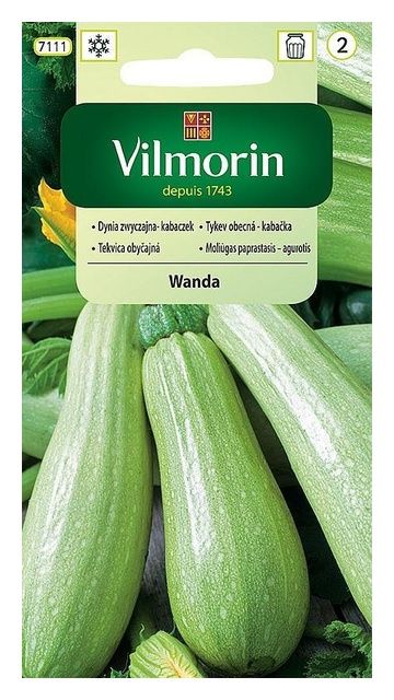 Dynia kabaczek Wanda 2g Vilmorin