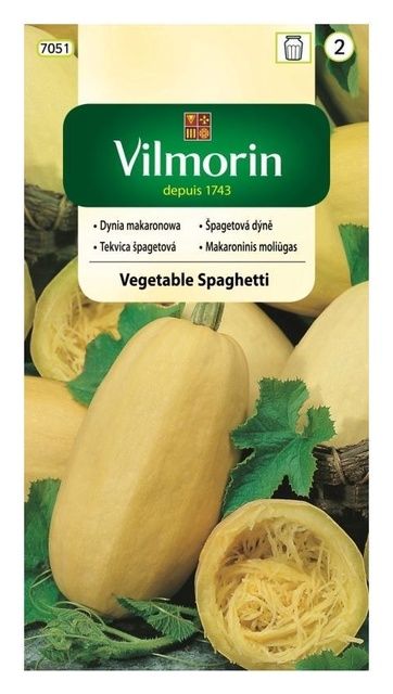 Dynia makaronowa Vegetable Spaghetti 3g Vilmorin