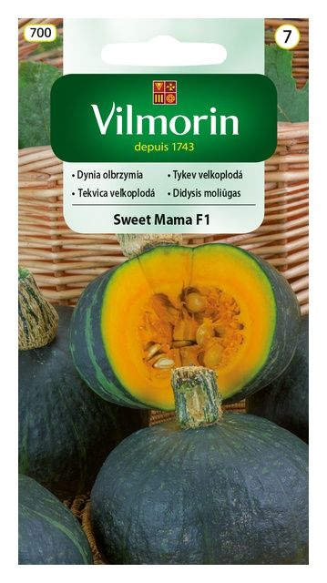 Dynia olbrzymia Sweet Mama F1 7 ziaren Vilmorin 