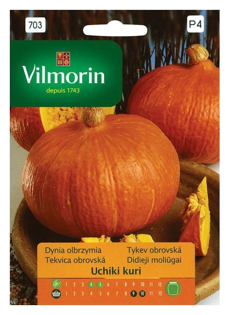 Dynia olbrzymia Uchiki Kuri 3g Vilmorin