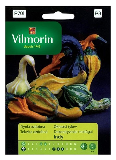 Dynia ozdobna Indy Vilmorin