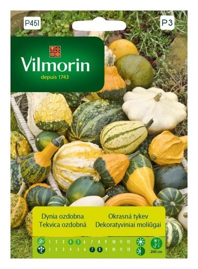 Dynia ozdobna mix 2g Vilmorin