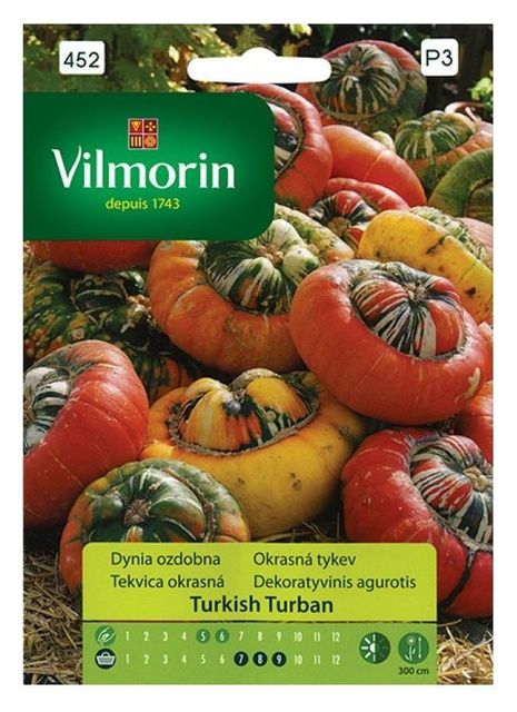 Dynia ozdobna Turkish Turban Vilmorin