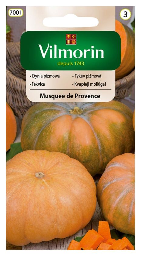 Dynia piżmowa Musquee de Provence 2g Vilmorin