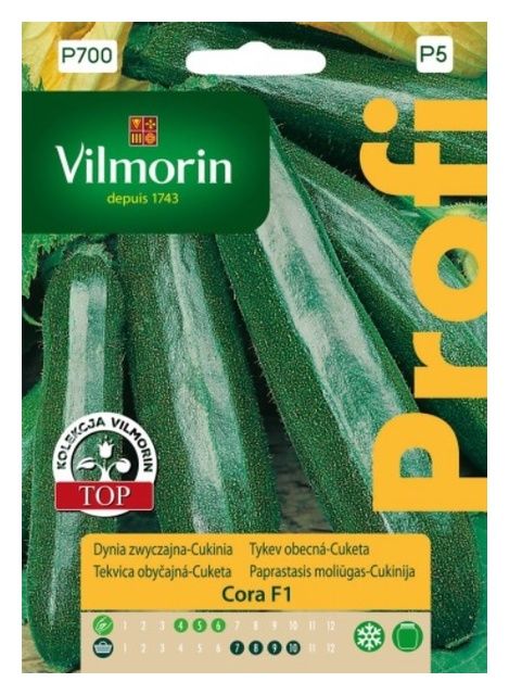 Dynia zwyczajna Cora F1 2g Vilmorin 