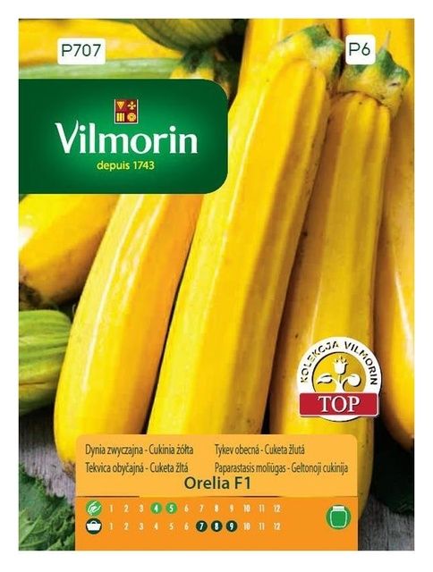 Dynia zwyczajna - Cukinia żółta Orelia F1 Vilmorin