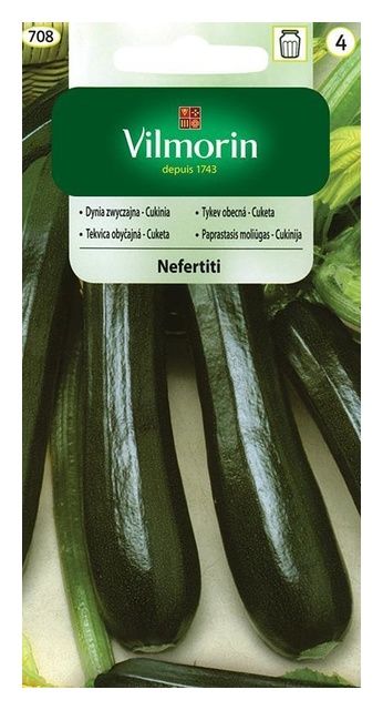 Dynia zwyczajna  Nefertiti 3g Vilmorin