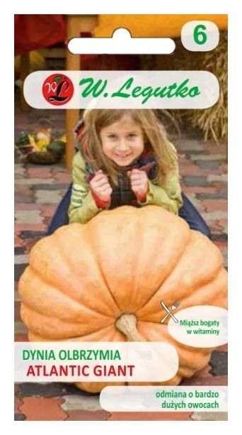 Dynia Atlantic Giant 3g Legutko