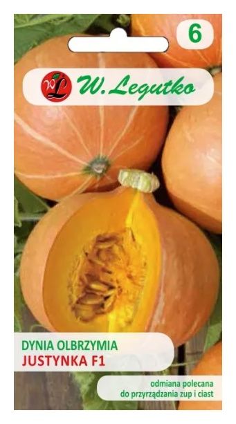 Dynia Justynka 4g Legutko