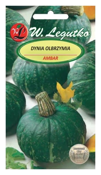Dynia olbrzymia Ambar 3g Legutko