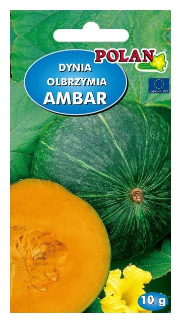 Dynia olbrzymia Ambar 10g Polan