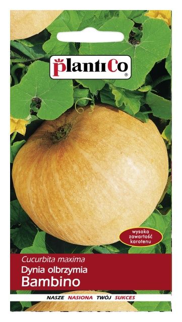 Dynia olbrzymia BAMBINO 5g PlantiCo