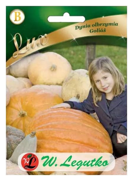 Dynia olbrzymia Golias 3g Legutko