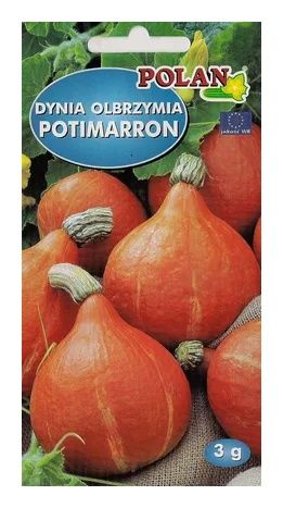 Dynia olbrzymia Potimarron 3g Polan