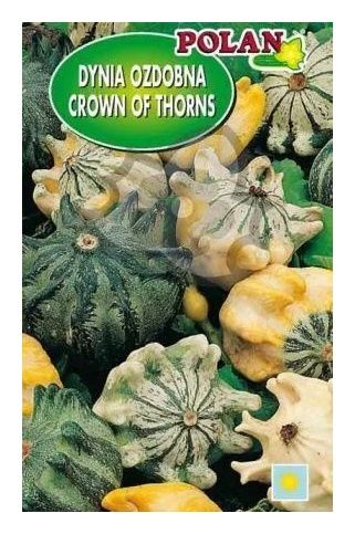 Dynia ozdobna Crown of Thorns mix 5g Polan