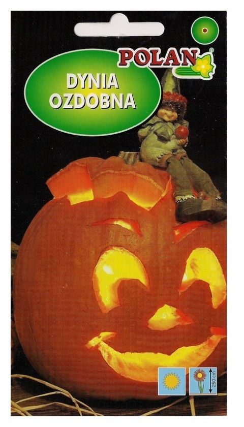 Dynia ozdobna Halloween 3g Polan