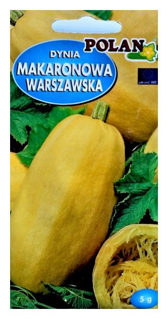 Dynia makaronowa Warszawska 5g Polan