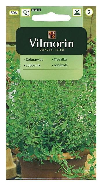 Dziurawiec 0,2g Vilmorin