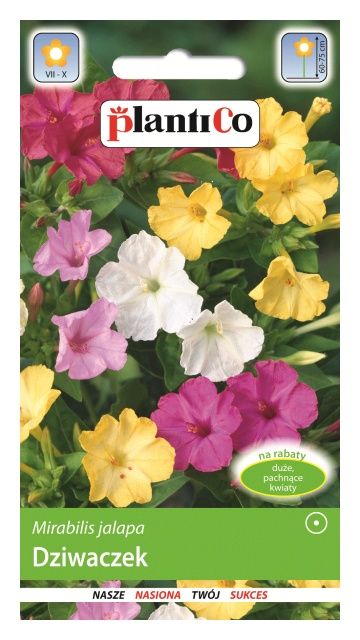 Dziwaczek mix 3g PlantiCo
