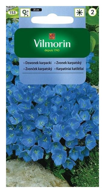 Dzwonek Karpacki 0,5g Vilmorin