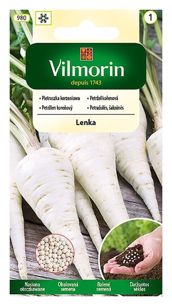 Pietruszka korzeniowa Lenka nasiona otoczkowane 300 sztuk Vilmorin