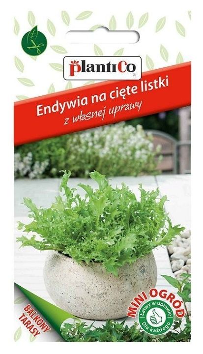 Sałata Endywia nasiona na cięte listki 5g Mini Ogród Plantico