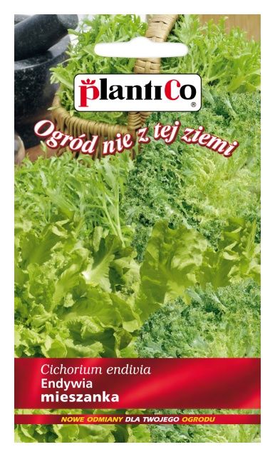 Sałata Endywia MIX 0,2g PlantiCo