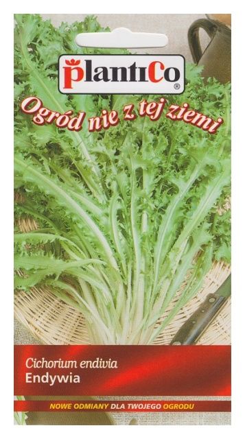 Endywia ROMANESCA 0,2g PlantiCo