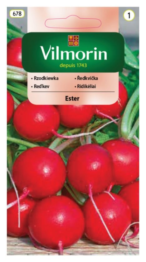 Rzodkiewka Ester 5g Vilmorin