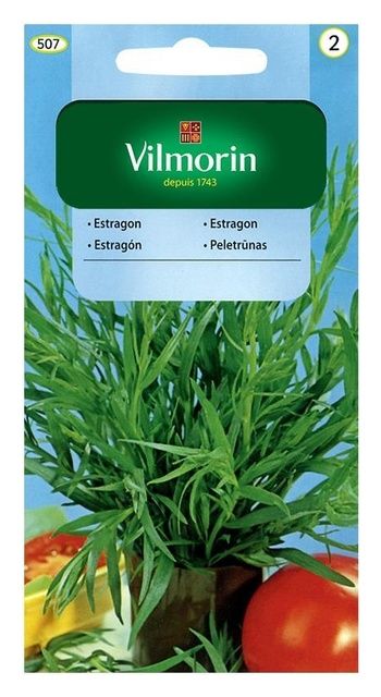 Estragon 0,1g Vilmorin