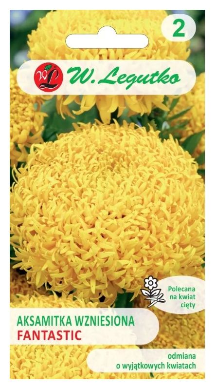 Aksamitka wzniesiona Fantastic żółta 0,3g Legutko