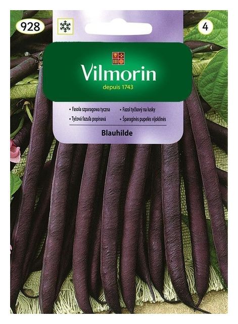 Fasola szparagowa Blauhilde 10g Vilmorin