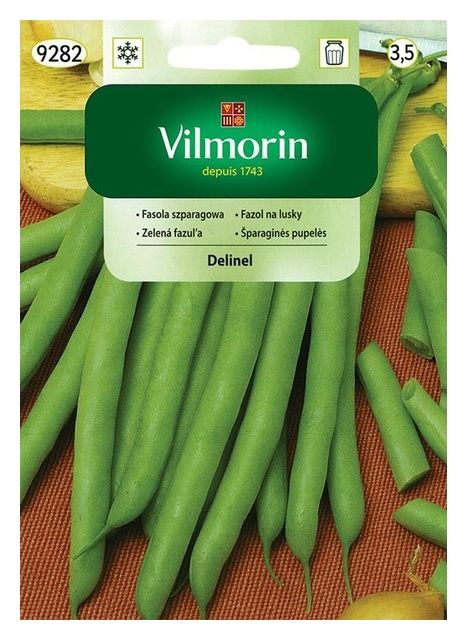 Fasola szparagowa Delinel 30g Vilmorin