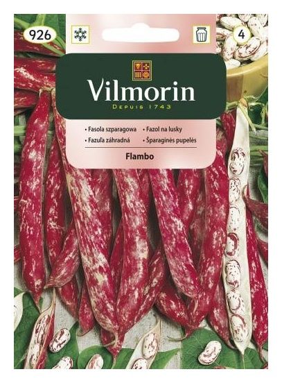 Fasola szparagowa Flambo 30g Vilmorin